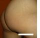 voir